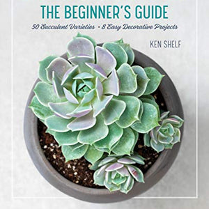 Essential Succulents: The Beginner's Guide