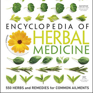 Encyclopedia of Herbal Medicine: 550 Herbs and Remedies for Common Ailments